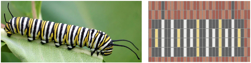 Monarch caterpillar compared to design on bridge